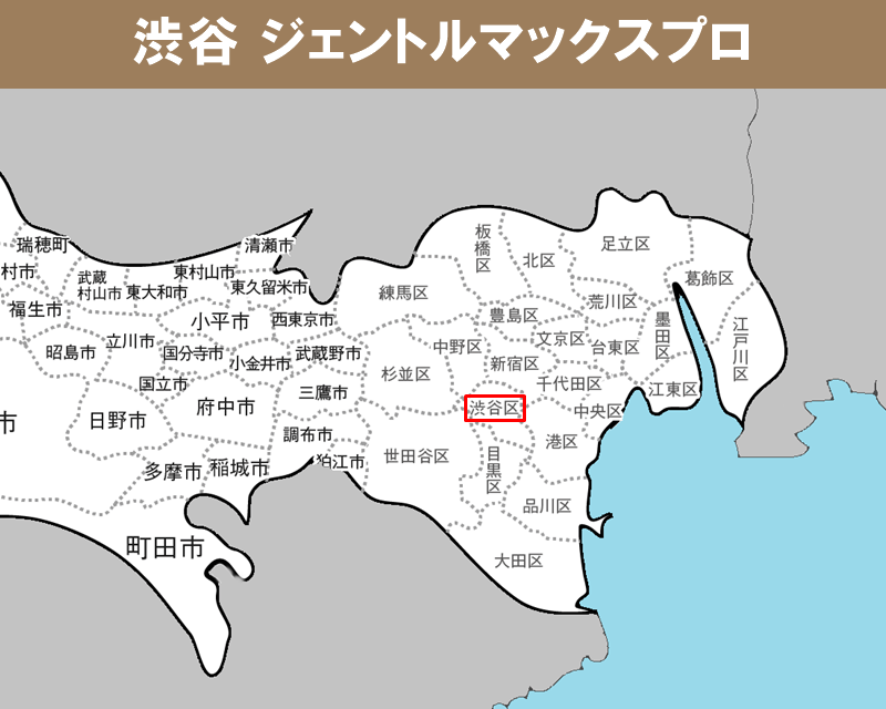 ジェントルマックスプロ 渋谷　東京都の地名入りの白地図　渋谷に赤枠　ジェントルマックスプロの写真