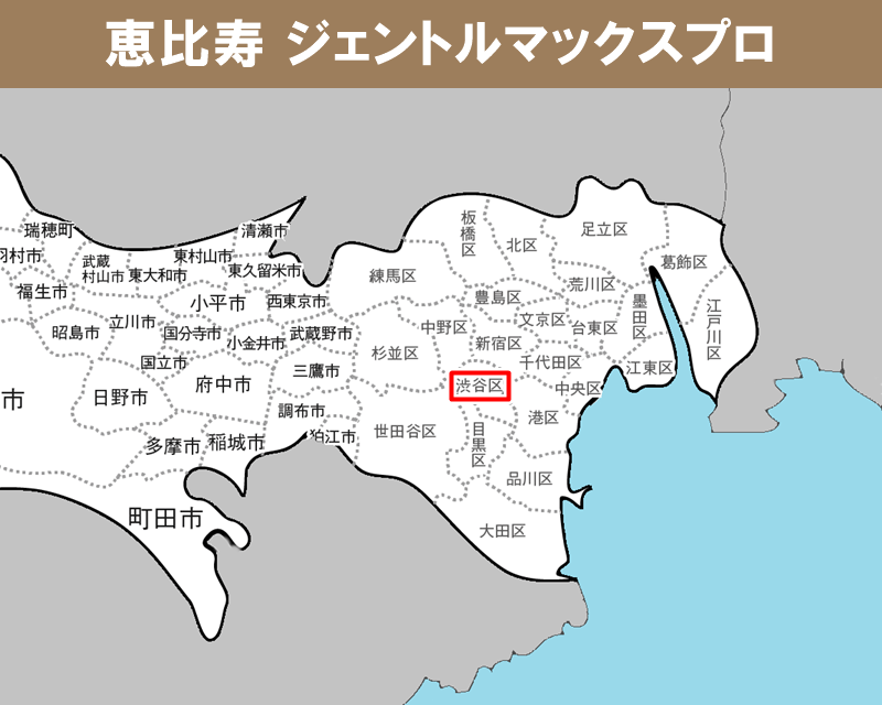 東京都の白地図　渋谷区に赤枠