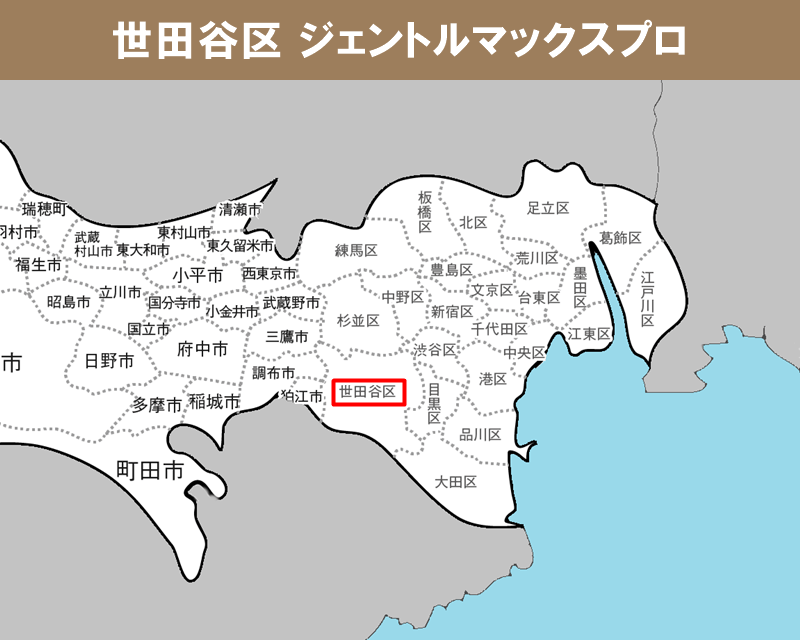東京都の白地図　世田谷区に赤枠
