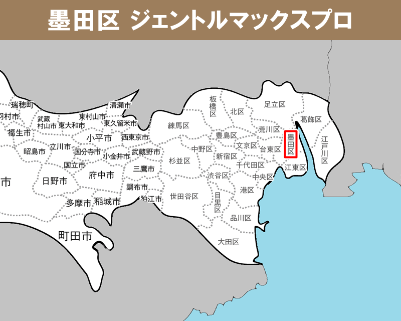 東京都の白地図　墨田区に赤枠